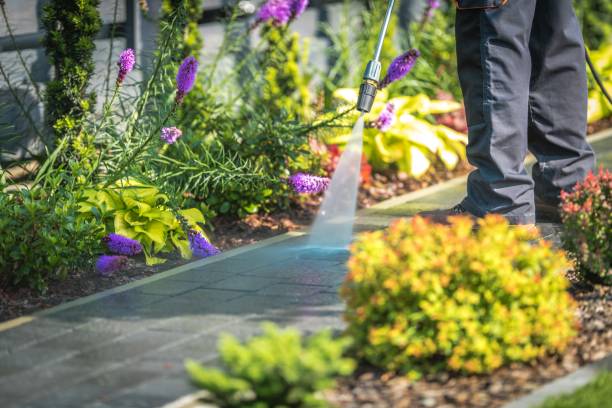 Trusted Cheltenham Village, PA Pressure Washing Services Experts